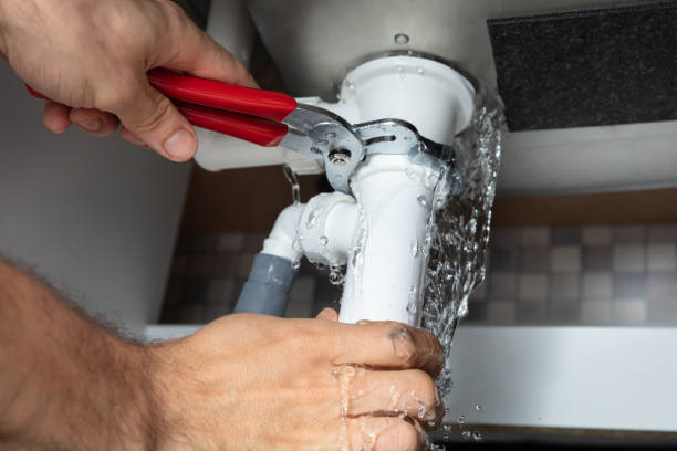 Best Fire Damage Restoration  in Carrollwood, FL