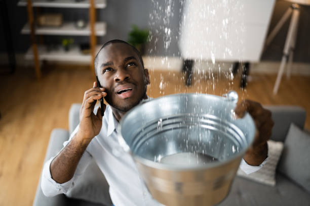 Best Basement water damage restoration  in Carrollwood, FL