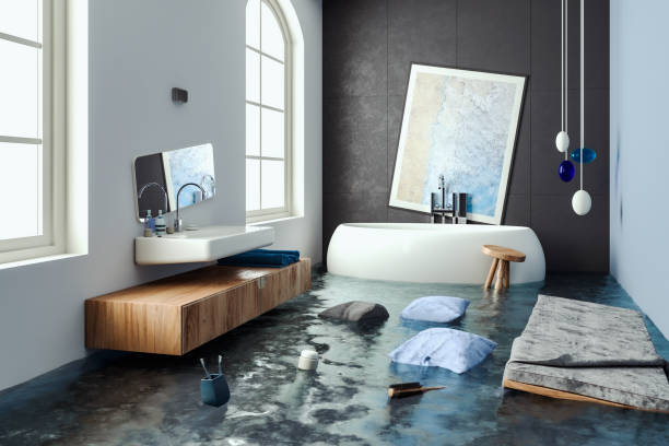 Best Flood damage cleanup  in Carrollwood, FL