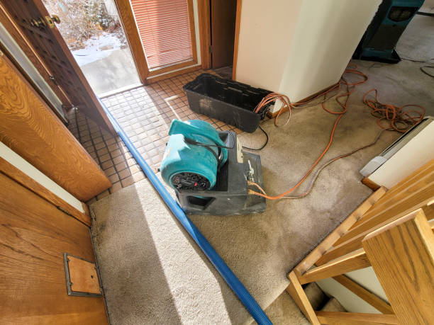 Best 24-hour water damage restoration  in Carrollwood, FL