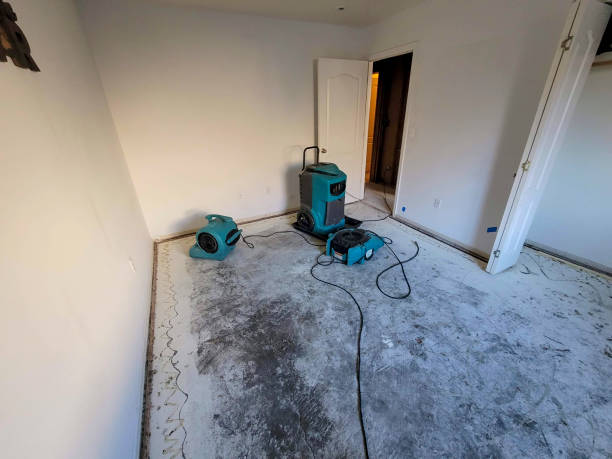 Best Water damage restoration near me  in Carrollwood, FL