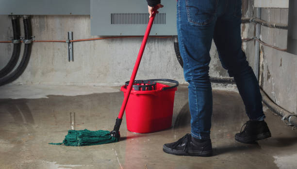 Best Sewage cleanup and water damage restoration  in Carrollwood, FL