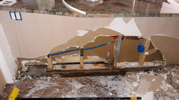 Best Flooded house restoration  in Carrollwood, FL