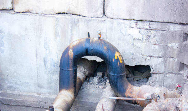 Best Carpet water damage restoration  in Carrollwood, FL