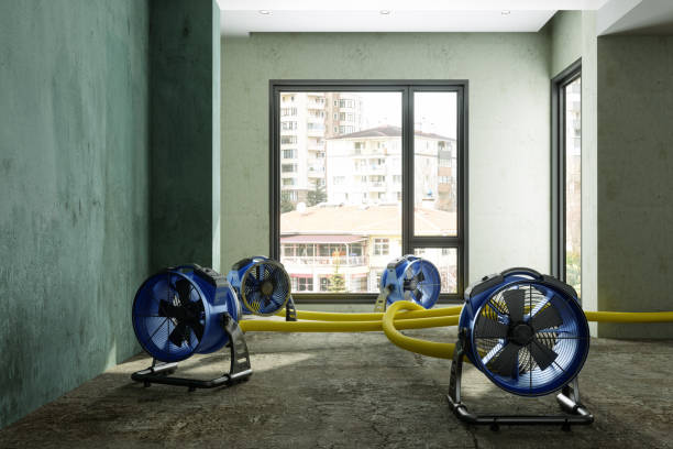 Best Ceiling water damage repair  in Carrollwood, FL