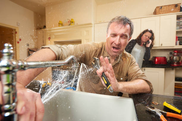 Best Commercial water damage restoration  in Carrollwood, FL